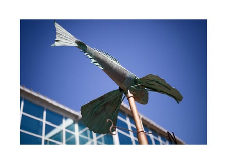 最近暑すぎる！早く秋にならないかな〜🙃