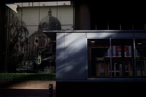 でっかいカメラで、可愛い写真を撮ってみたりしてます