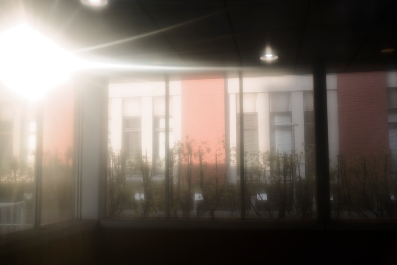 メイン投稿画像