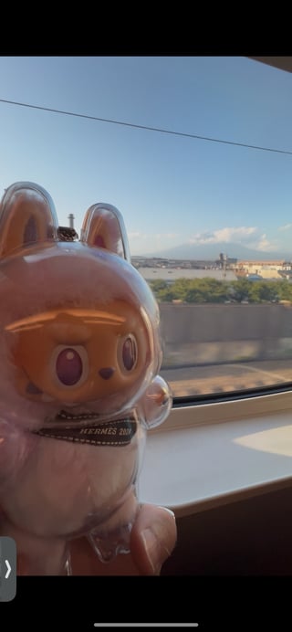 ラブブと富士山🗻