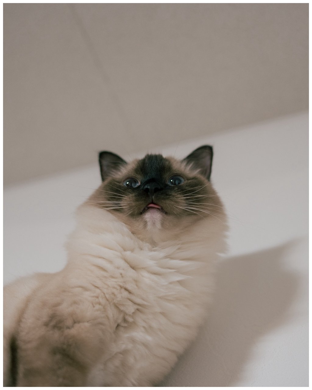 投稿画像 2