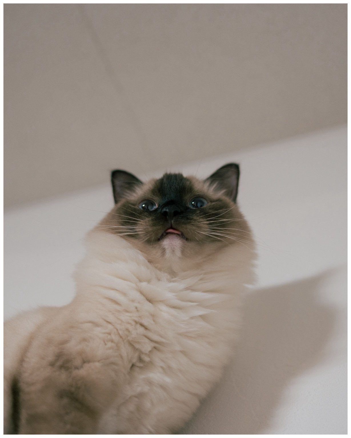 投稿画像 2