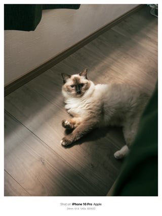 iPhoneで撮るおこげです。
サッと撮るならiPhoneですね！