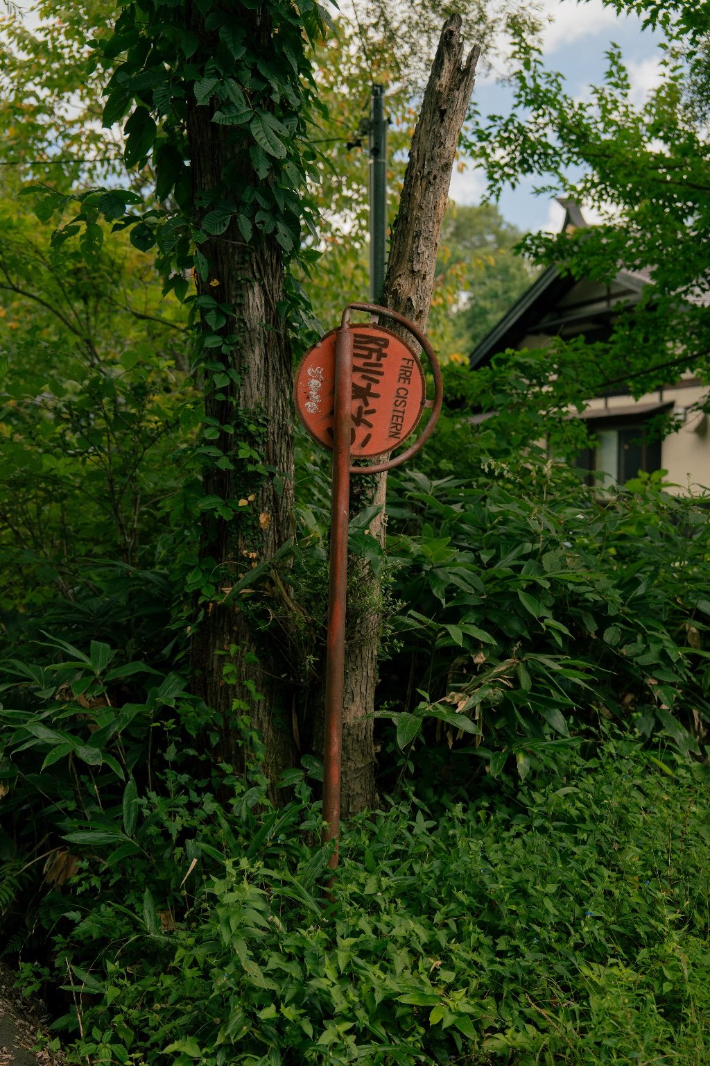投稿画像 4