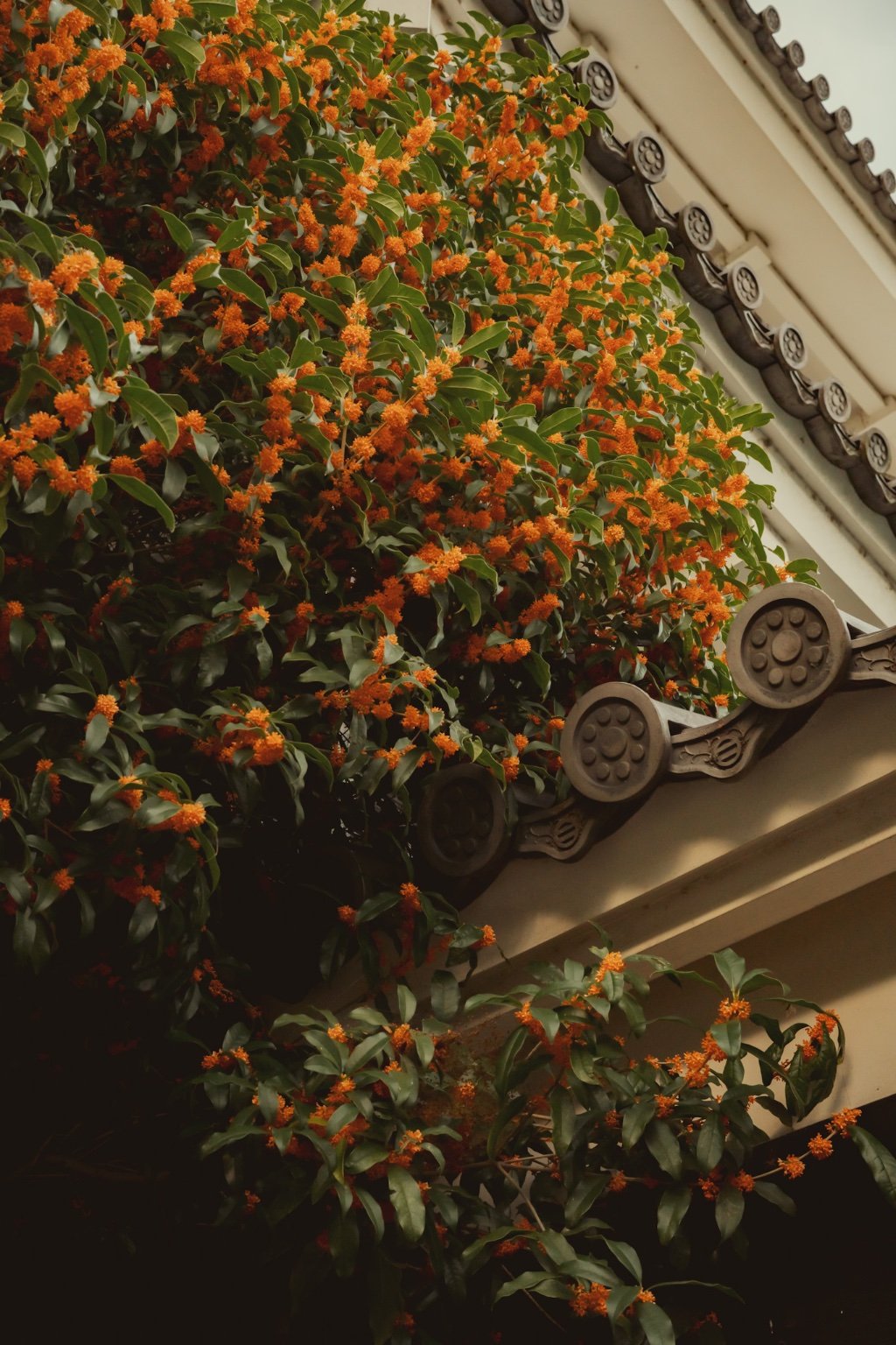 メイン投稿画像