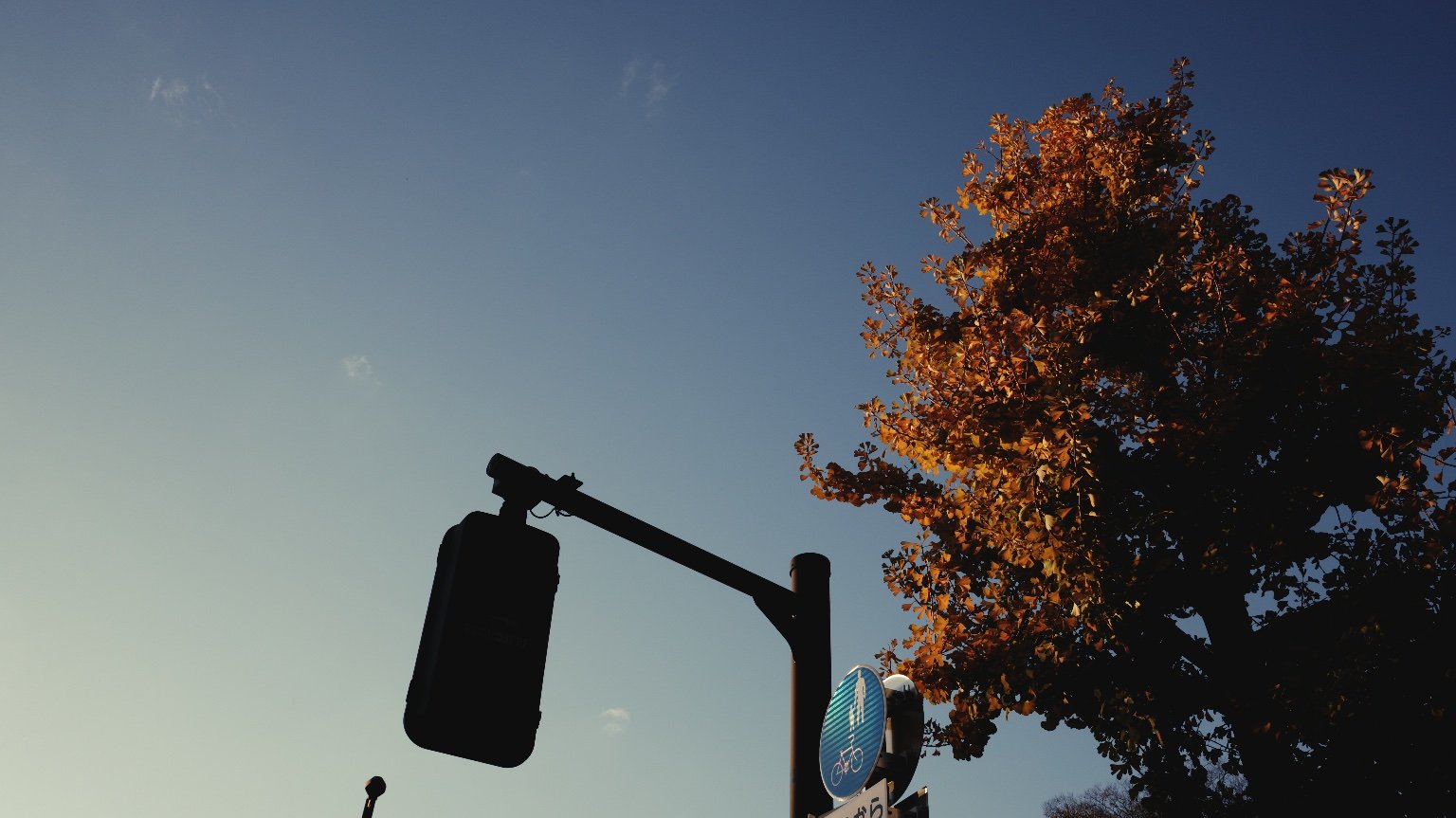 メイン投稿画像