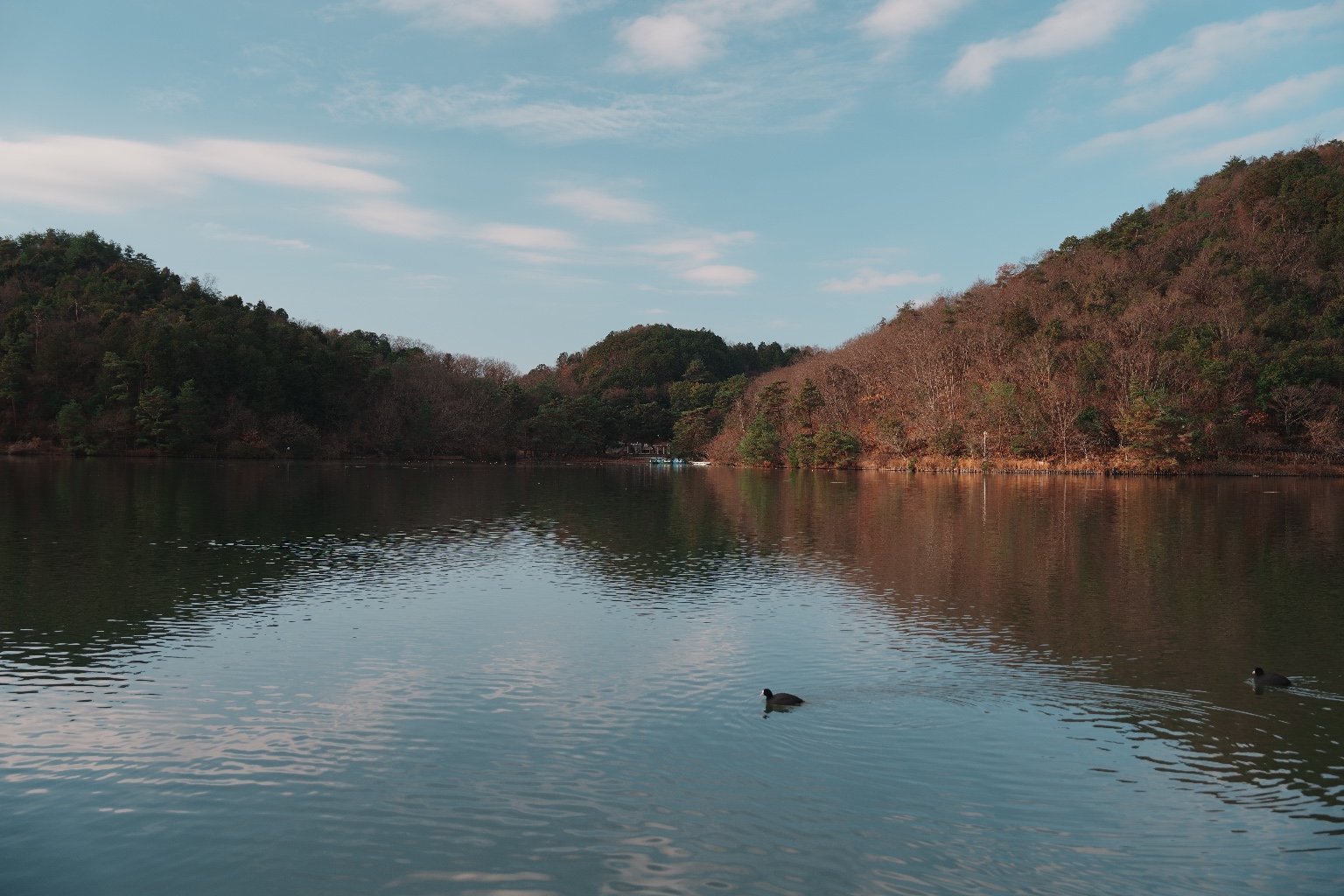 メイン投稿画像