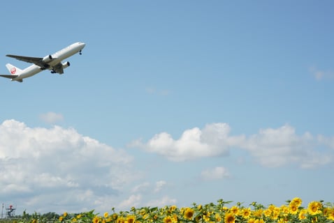 女満別空港のひまわり畑を観てる最中に離陸するところが撮れました。