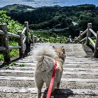 ユーザーアイコン