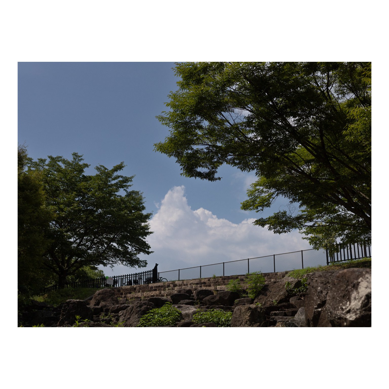 メイン投稿画像