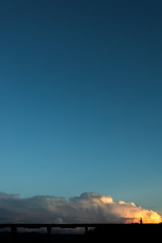 いつもの散歩道。