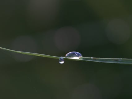 小さな世界の片隅。
僕たちには見えない世界もある。