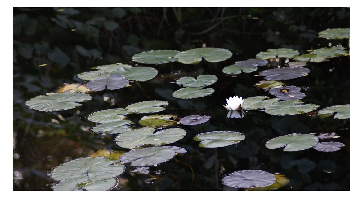 メイン投稿画像