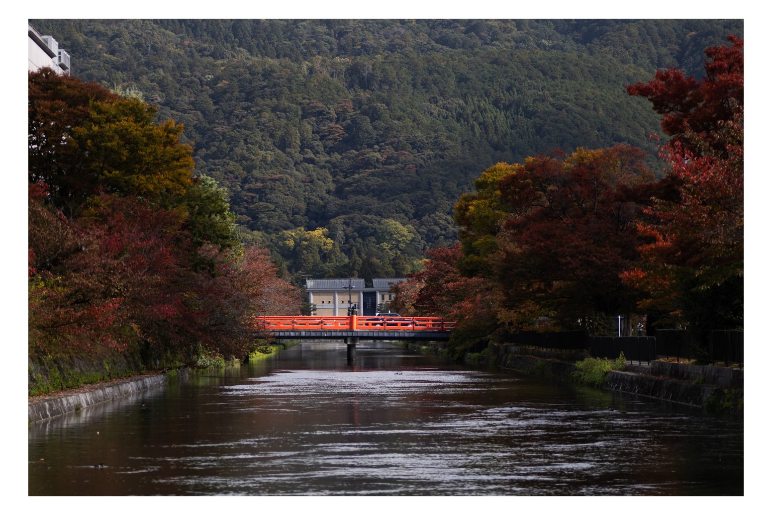 メイン投稿画像