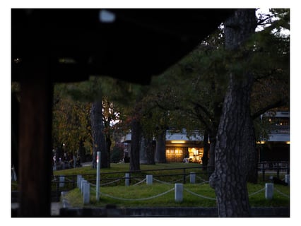 1日の終わりに優しい灯り。