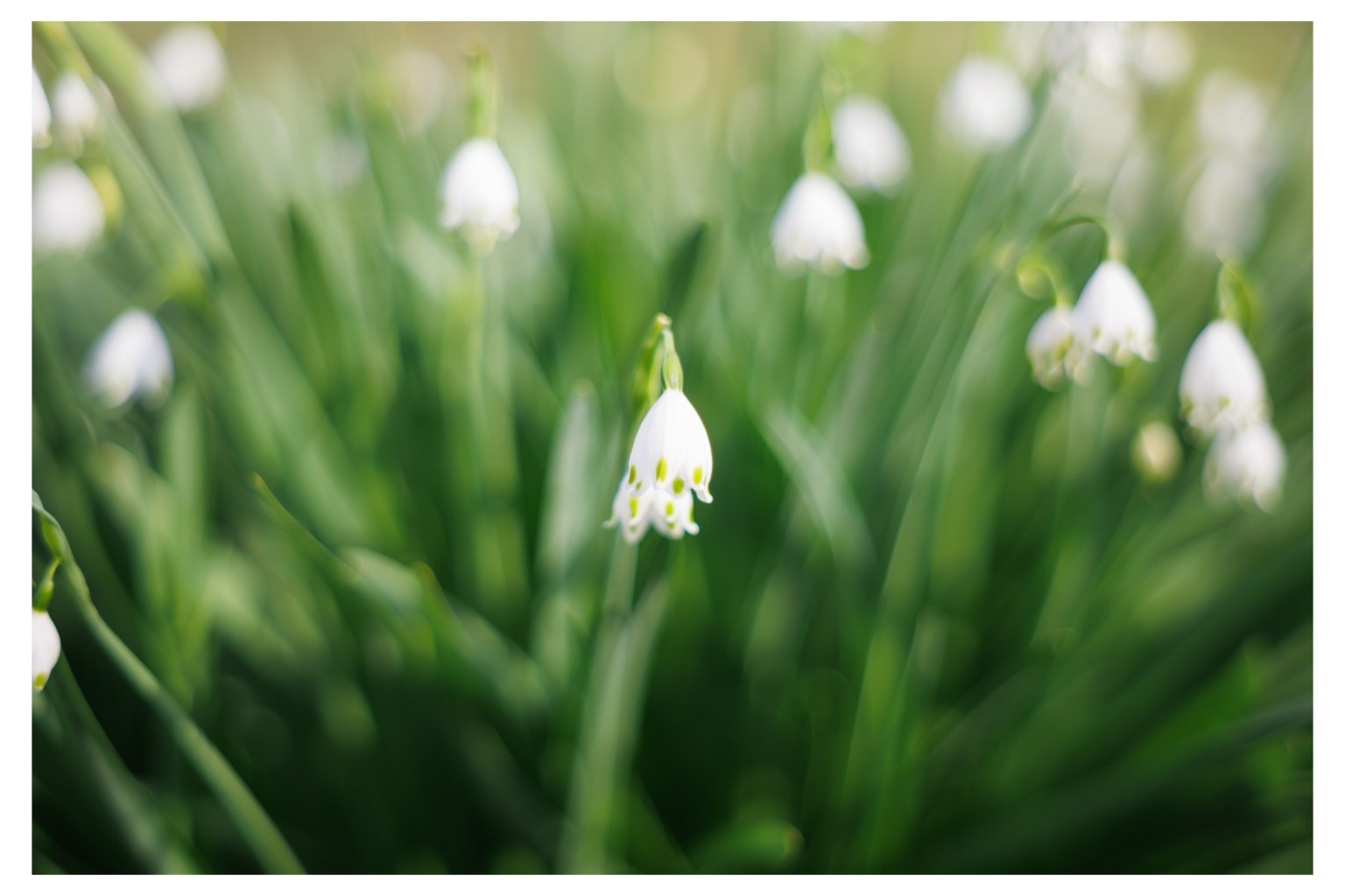 メイン投稿画像