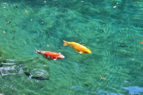 すごく綺麗な湖でした☺️