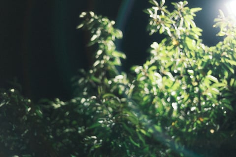 夜の駐車場で買い出し前に📸