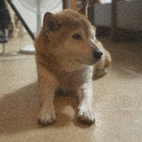 ユーザーアイコン