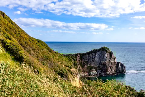 秋空と海風に揺れるススキ