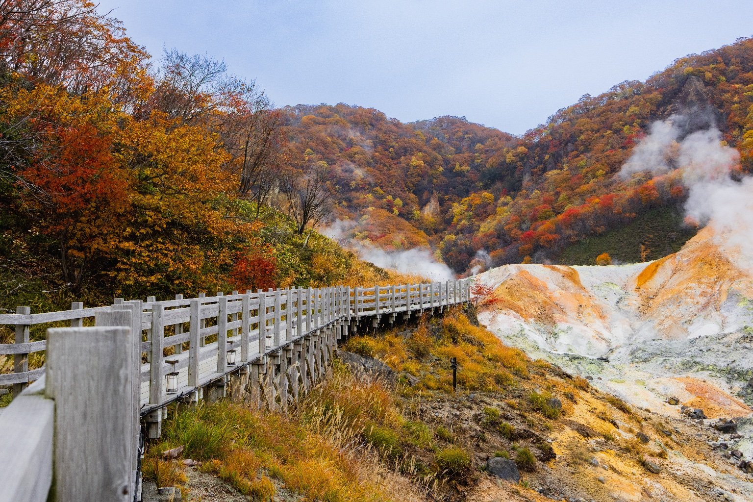 Canon EOS R6 Mark II 本体 紅葉撮影に✨ Canon EOS R6 Mark II ボディの作例/評価(評判)のレビュー | 湯けむり