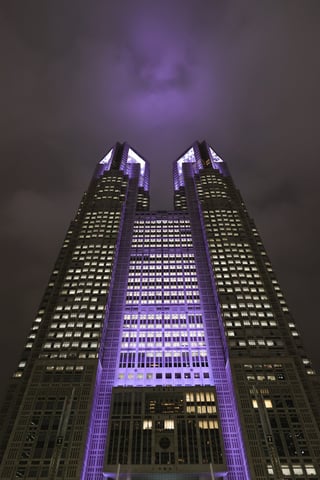 東京都庁。展望台は無料なのでおすすめ撮影スポットです。展望台からの夜景はインスタグラムにあげてあります。