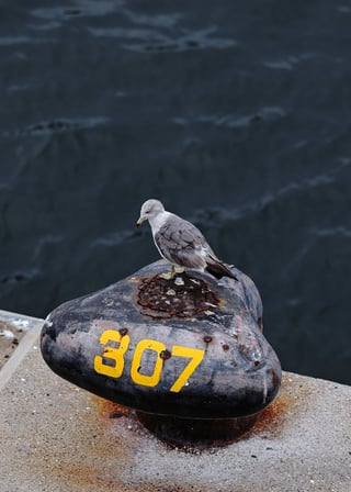 カモメ 307号室
ここは彼の家ですね。落ち着いてます。