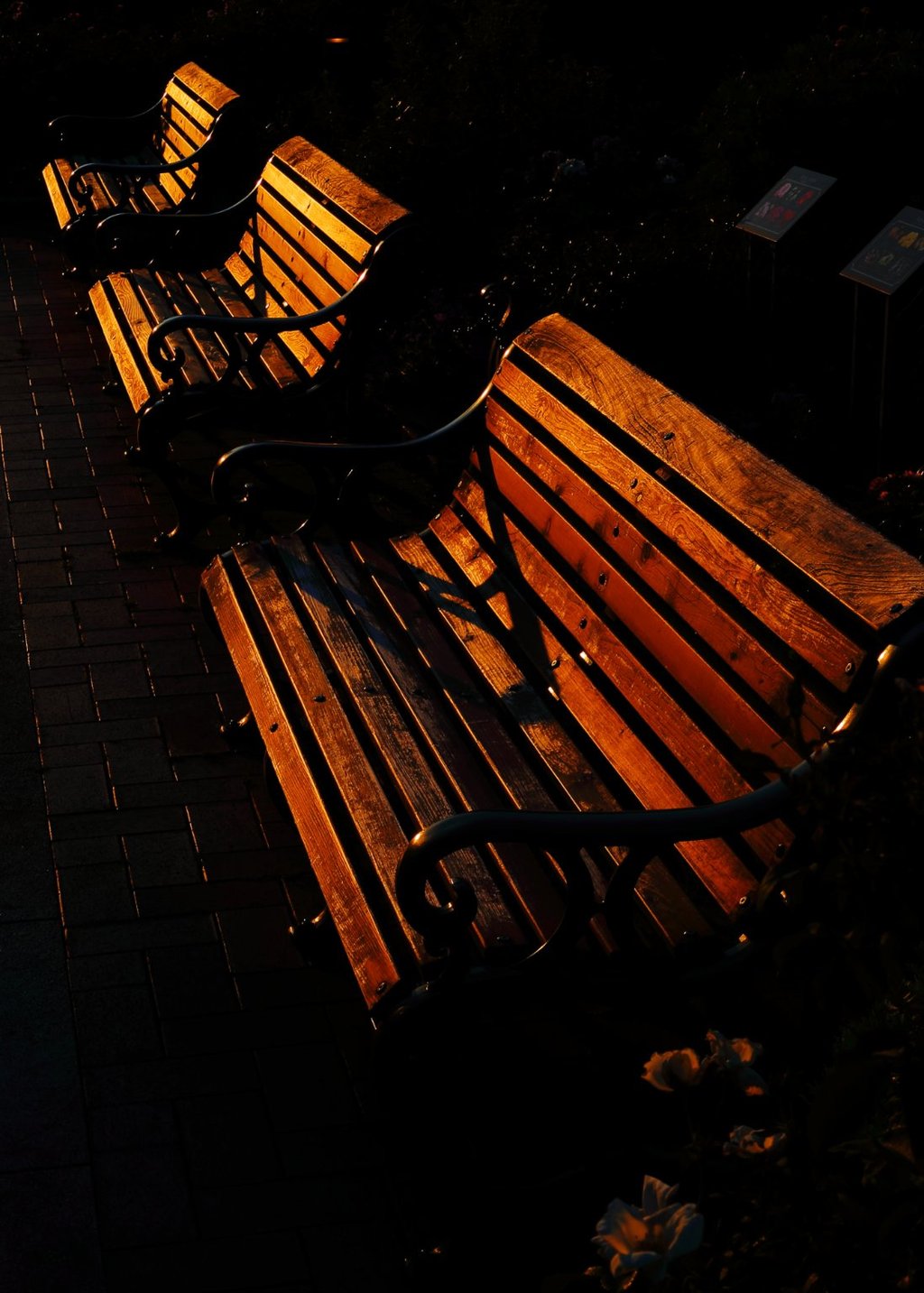 夕映えのベンチ 山下公園
最近は天気悪いですね。スカッと秋晴れして欲しいです。週末限定でいいです。