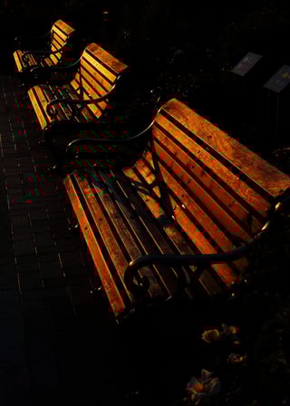 夕映えのベンチ 山下公園
最近は天気悪いですね。スカッと秋晴れして欲しいです。週末限定でいいです。