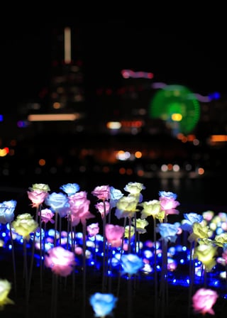 横浜港フォトジェニックイルミネーション2025
大桟橋埠頭の綺麗なイルミネーション。いろいろな撮り方ができると思います。冬のおすすめ撮影スポットです。