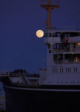 あけましておめでとうございます🎍
今年もよろしくお願いいたします🙇
今年もいろいろなところで写真撮りたいです📷️