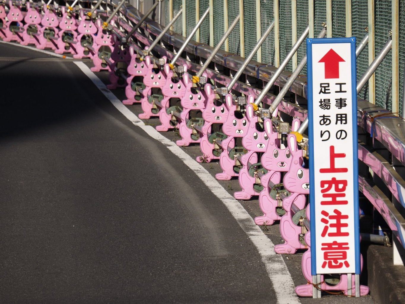 メイン投稿画像