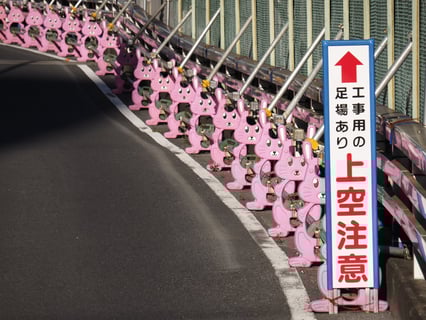 ウサギさんが気になって上空注意出来ません