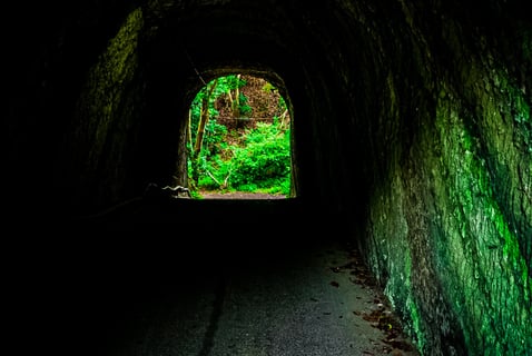 トンネルを抜けた先の自然
【千葉県の外房】