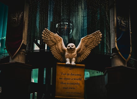 クールを追求したown【ハリーポッター】

