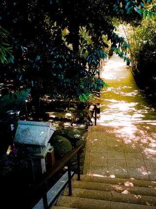 参拝の木漏れ日