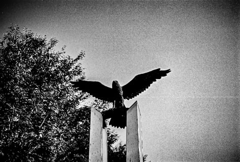 白黒で映す
🦅の像