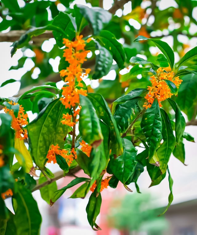 メイン投稿画像