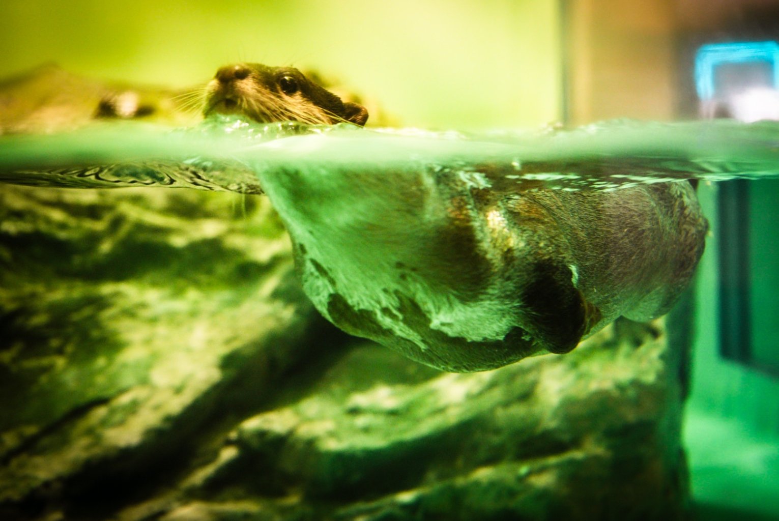 メイン投稿画像