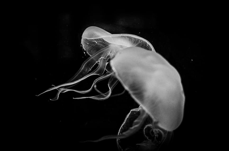 メイン投稿画像