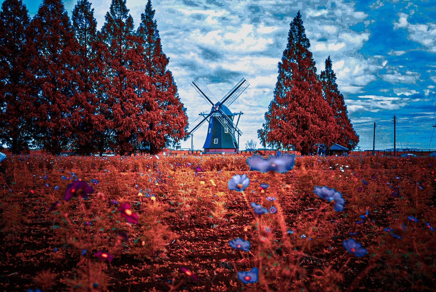 メイン投稿画像