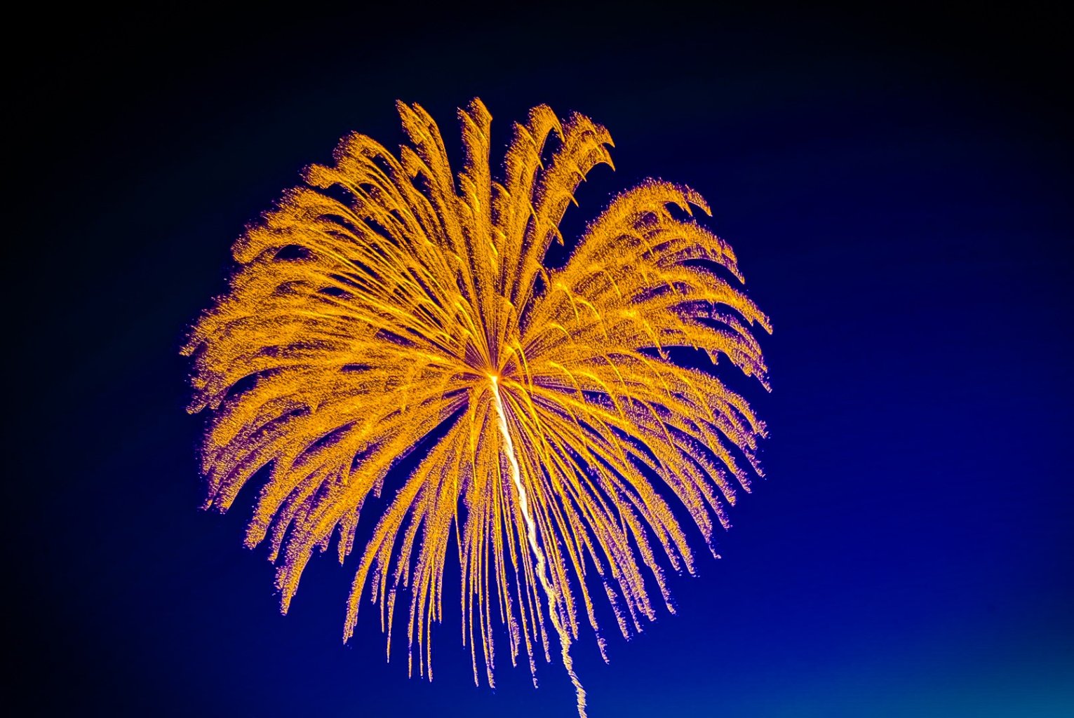 メイン投稿画像