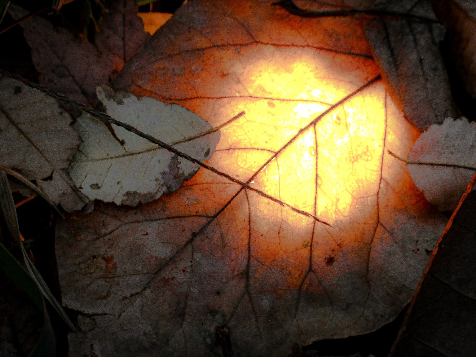 メイン投稿画像