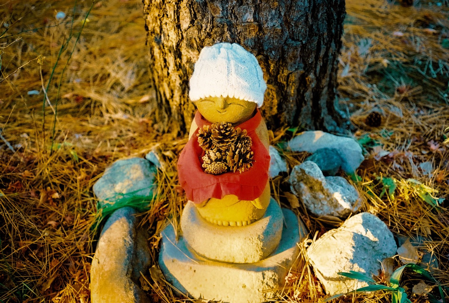 メイン投稿画像