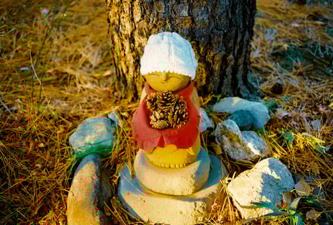 松ぼっくりと地蔵

NikonF3×Kodak colorplus200