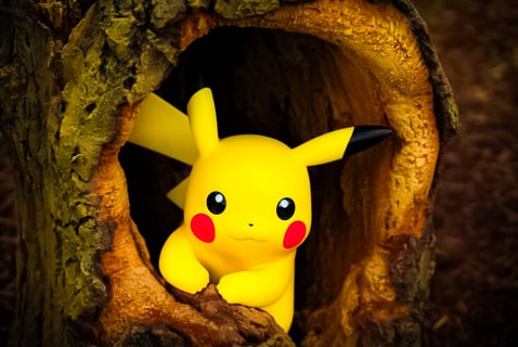 ポケパークカントーにて!
沢山のポケモンと出会えました!