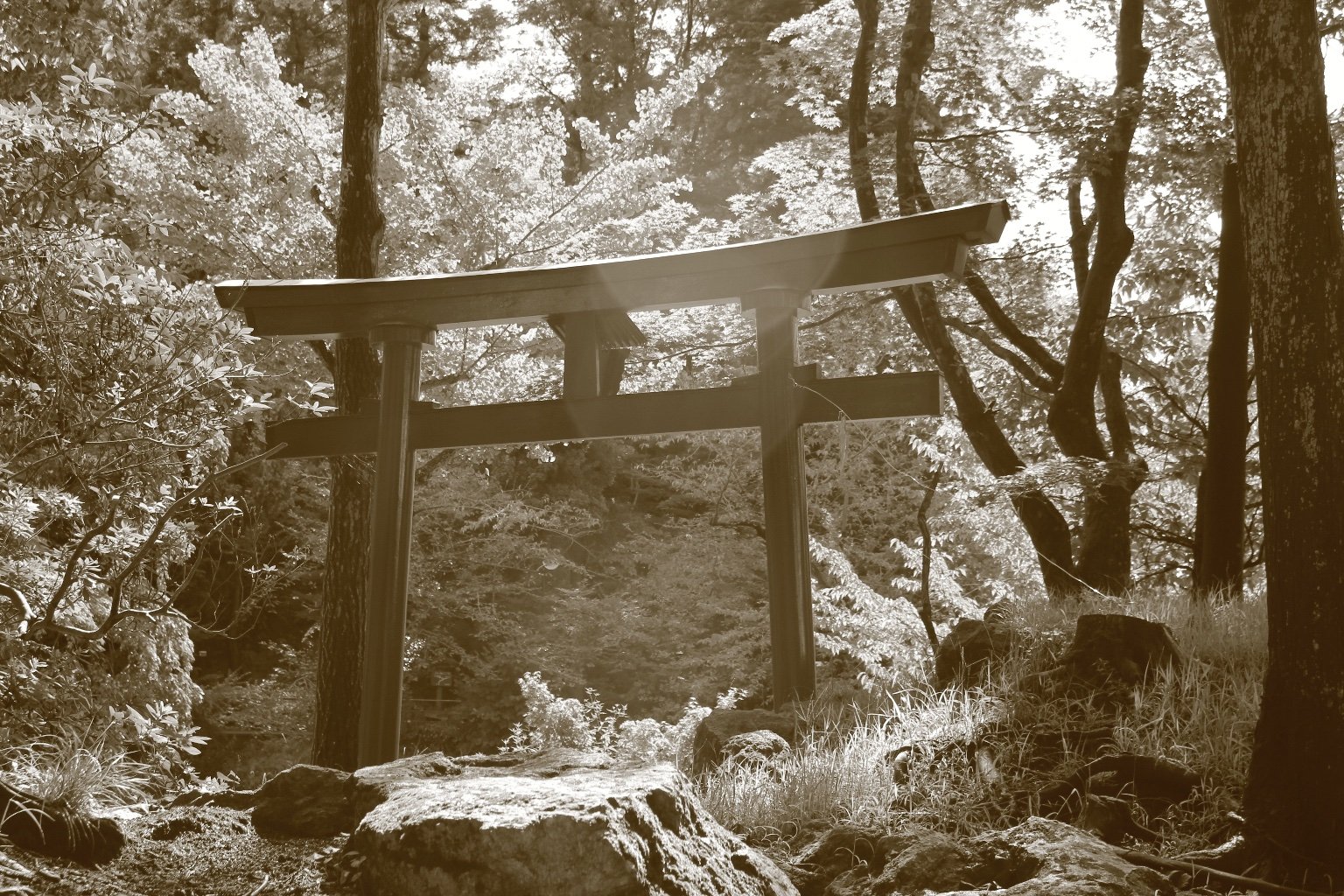 投稿画像 4
