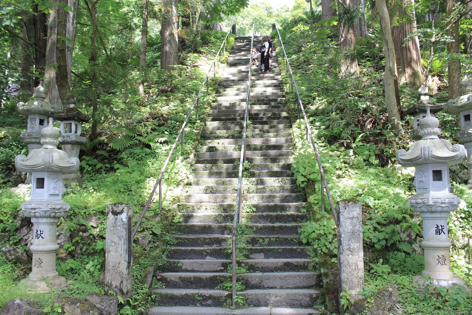投稿画像 7