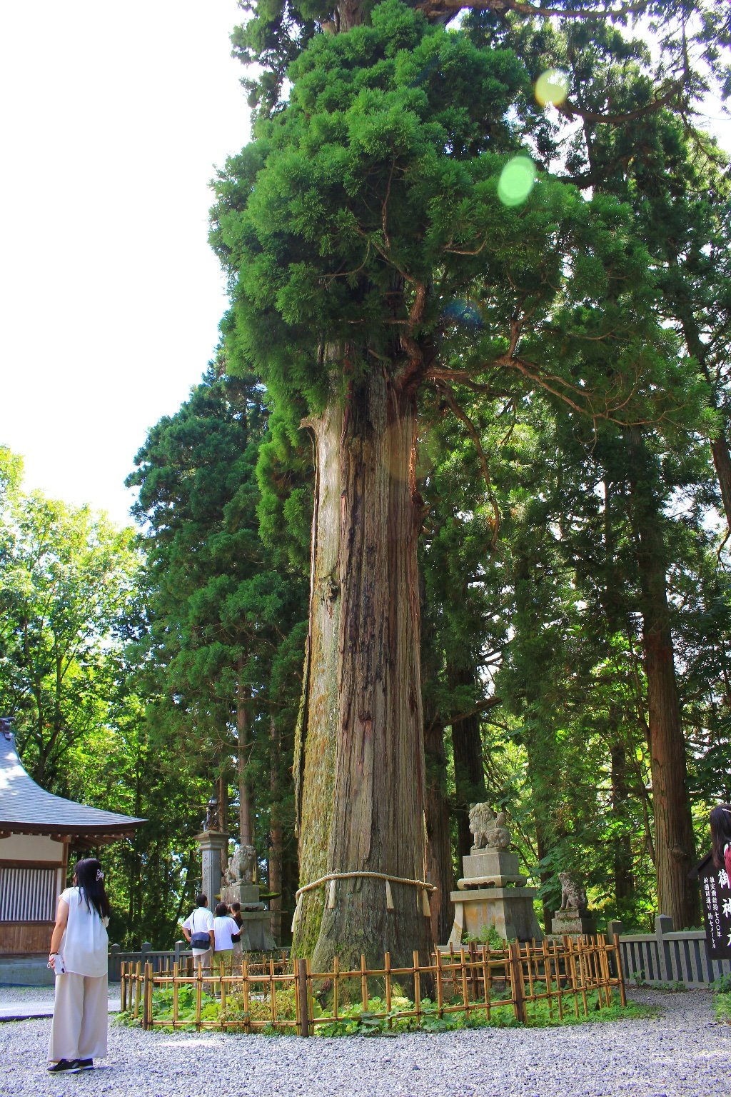 投稿画像 10