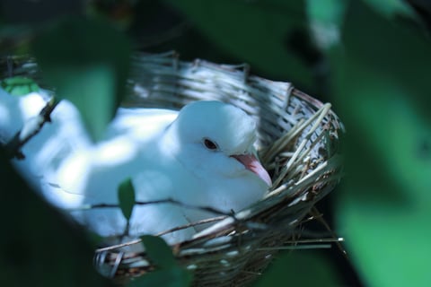 家族で行ってきました♪